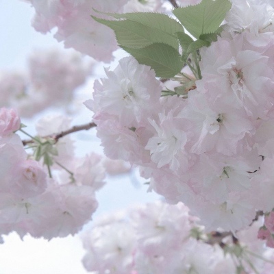 长寿FurryQQ群介绍